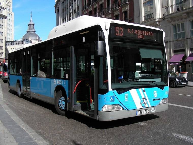 Los perros de asistencia permitidos a bordo de los autobuses de Madrid