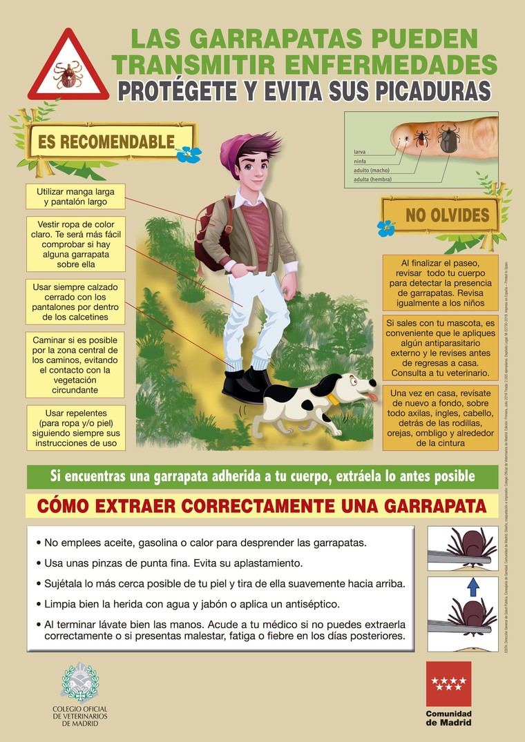 Consejos de Salud Pública de la Comunidad de Madrid para evitar picaduras de garrapatas