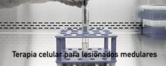 El Hospital Puerta de Hierro de la Comunidad de Madrid empieza a administrar una terapia celular pionera a pacientes con lesiones medulares crónicas
