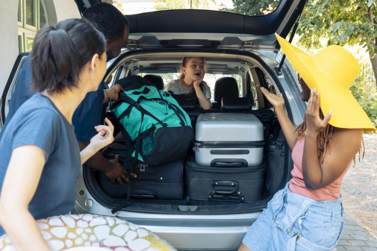 Cómo colocar la carga dentro del coche: objetos, mascotas y personas