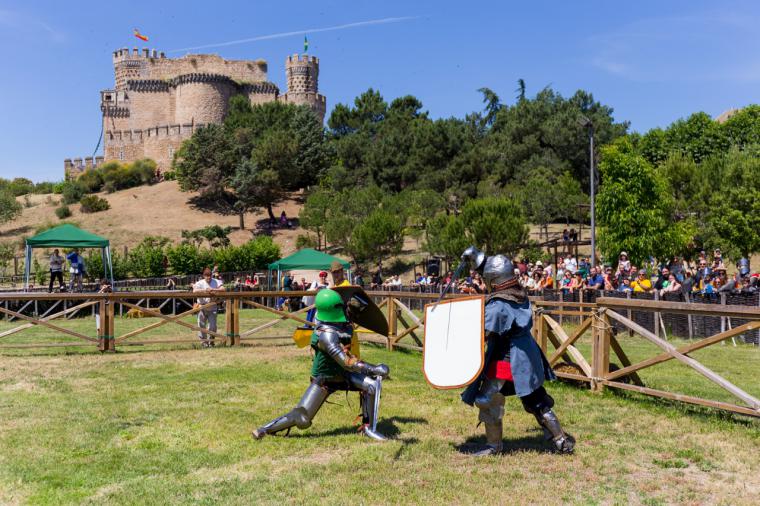 Castillo de Manzanares