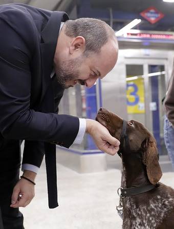 Nueva campaña para apoyar la adopción de animales abandonados