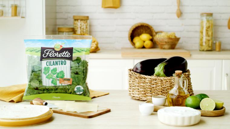 Disfruta de los beneficios del cilantro con estas cuatro recetas