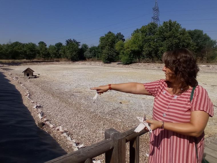 Patricia Cabal: 'La alcaldesa Quislant continúa destrozando el Parque Forestal Adolfo Suárez'.