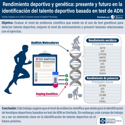 Un test de ADN será clave en la identificación del talento deportivo, según una investigación de la Universidad Francisco de Vitoria