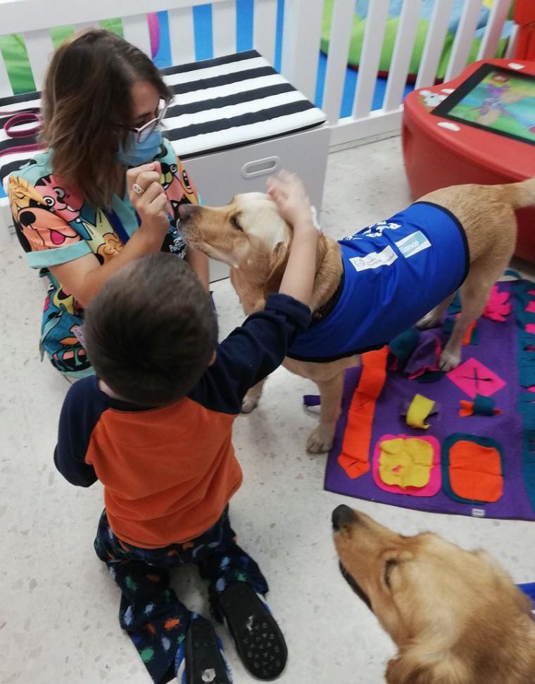 Los perros de asistencia y su labor prioritaria entre los colectivos con diversidad funcional