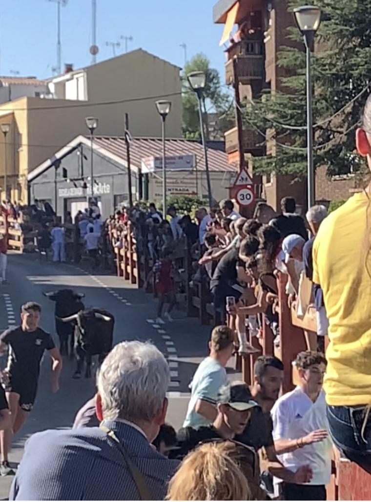 El primer encierro de las fiestas, sin incidencias