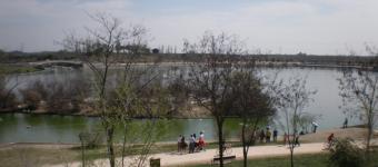 La Comunidad de Madrid confirma un foco de gripe aviar en el Parque Polvoranca de Leganés