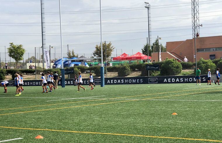 AEDAS Homes se convierte en patrocinador principal del equipo de rugby CRC Pozuelo
