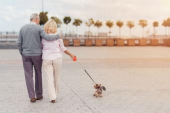 Las mascotas y sus beneficios para los mayores