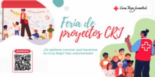 ¿Consideras importante la solidaridad?
