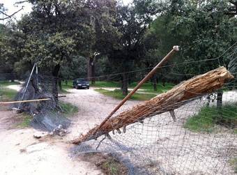 La oportunidad histórica de recuperar el Monte de Pozuelo