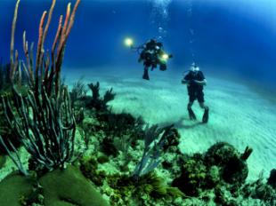 Aumentan un 21% los certificados médicos para hacer submarinismo