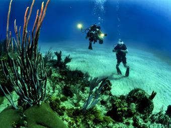 Aumentan un 21% los certificados médicos para hacer submarinismo