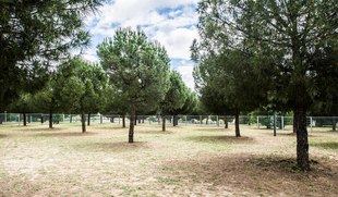 Los parques de Pozuelo de Alarcón permanecen cerrados este jueves por fuertes vientos