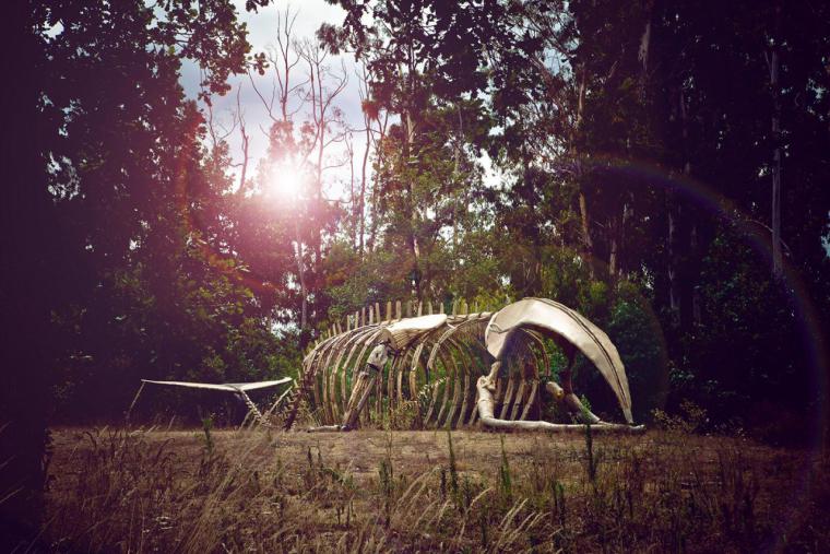 La Comunidad de Madrid presenta “Azul”, una instalación escultórica de 20 metros del esqueleto de una ballena interactiva