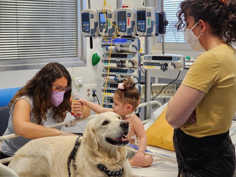 Las intervenciones con perros reducen el dolor y la ansiedad en niños ingresados en Cuidados Intensivos