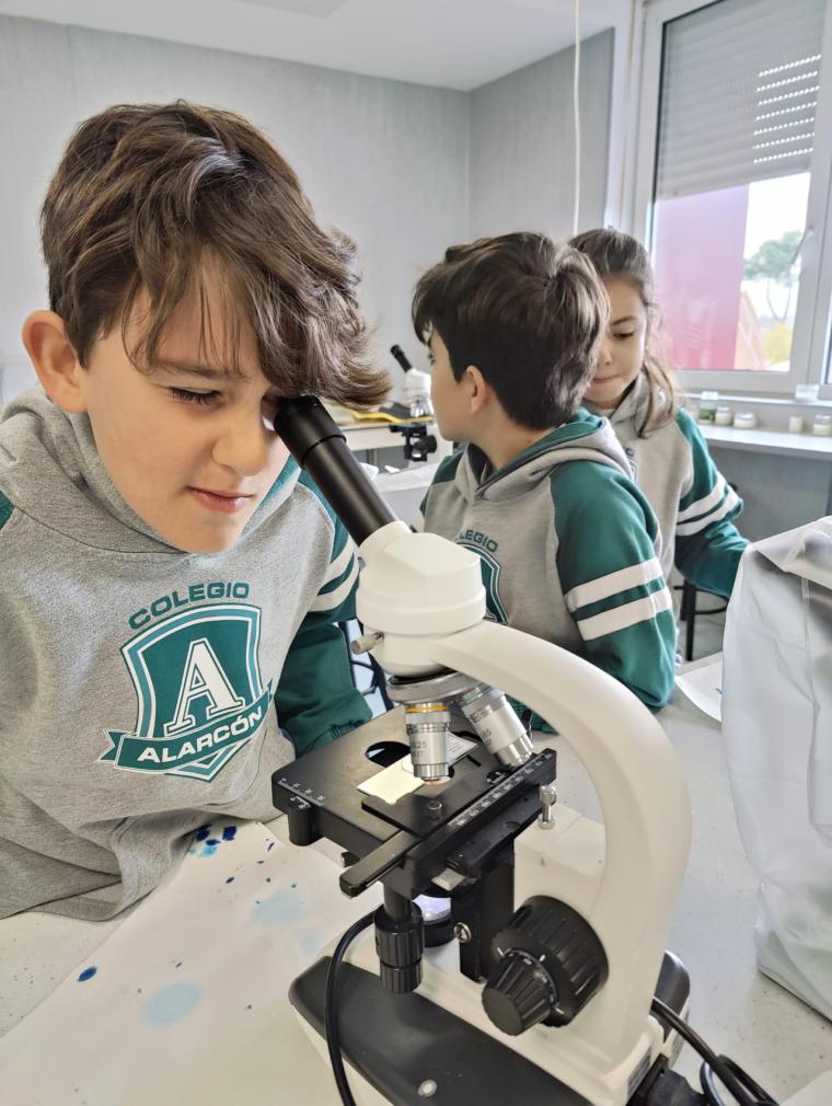 Colegio Alarcón: Educar para la vida