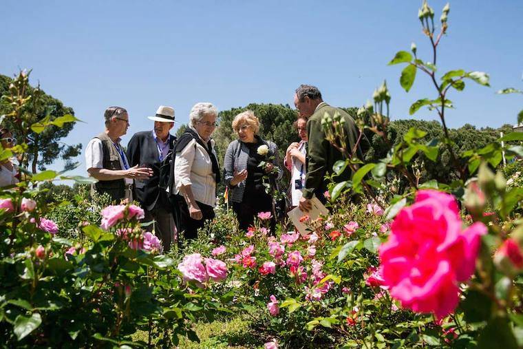 La alcaldesa entrega los premios de la 60 edición de Rosas Nuevas “Villa de Madrid”