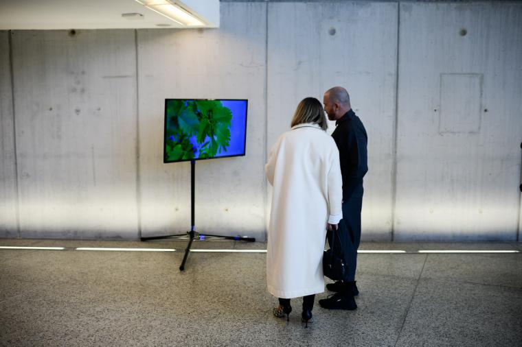 La Comunidad presenta la exposición ‘El teatro de la naturaleza’ con motivo de la Cumbre del Clima