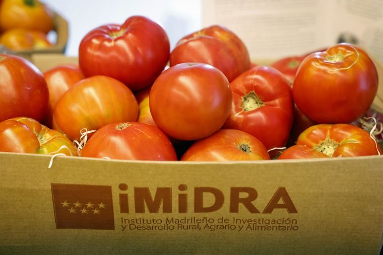 La Comunidad organiza la Primera Semana del Tomate Tradicional de Madrid