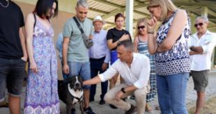 La Comunidad de Madrid reduce en casi 300 los abandonos de perros y gatos en el primer semestre del año