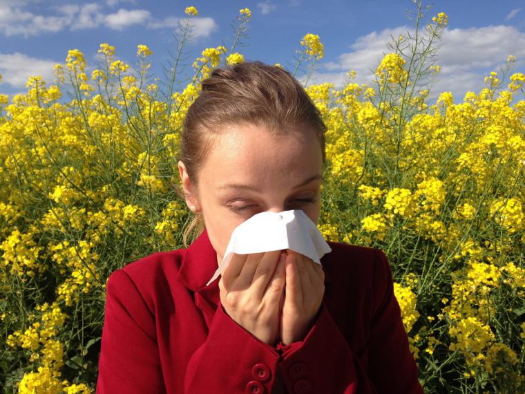 La alergia, la conducción altera