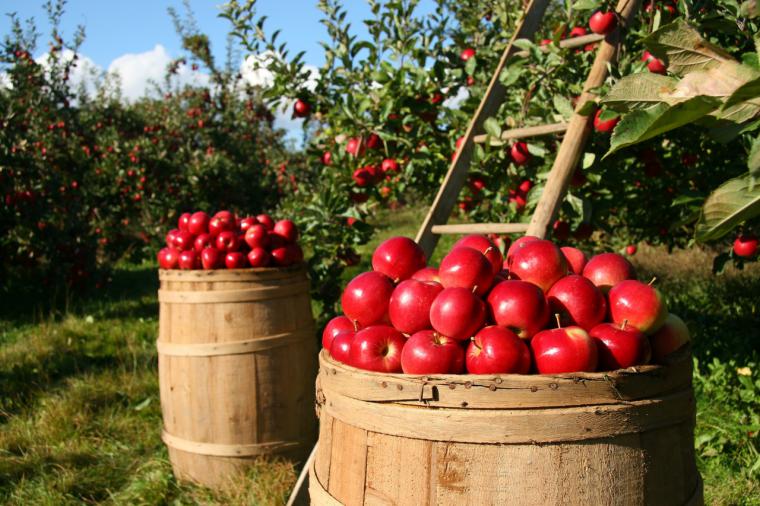 Madrid sella un acuerdo con las cooperativas agrarias para gestionar el centro Madrid Rural