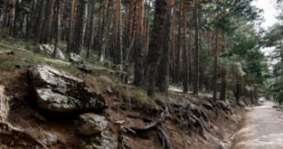 El corredor medioambiental Arco Verde incluirá a Pozuelo de Alarcón en su trazado