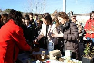 Ladrillos ecológicos y la fitodepuradora de Pozuelo