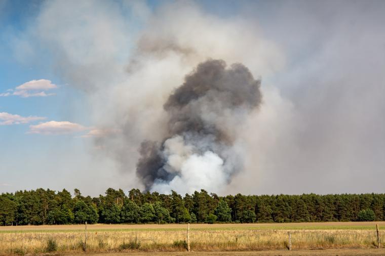 Qué hacer y qué no si nos sorprende un incendio forestal en la carretera