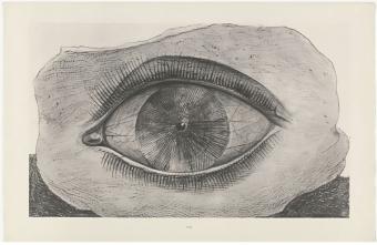 Renfe y Círculo de Bellas Artes lanzan billete combinado para la exposición de Max Ernst en Madrid