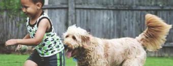 Crecer con un perro impulsa el bienestar integral de los niños y refuerza su desarrollo emocional