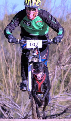 Mushing 'Ciudad de Pozuelo de Alarcón'