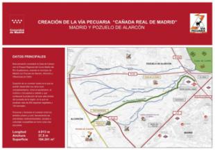 El Supremo anula la creación de la vía pecuaria 'Cañada Real de Madrid' por falta de evaluación medioambiental