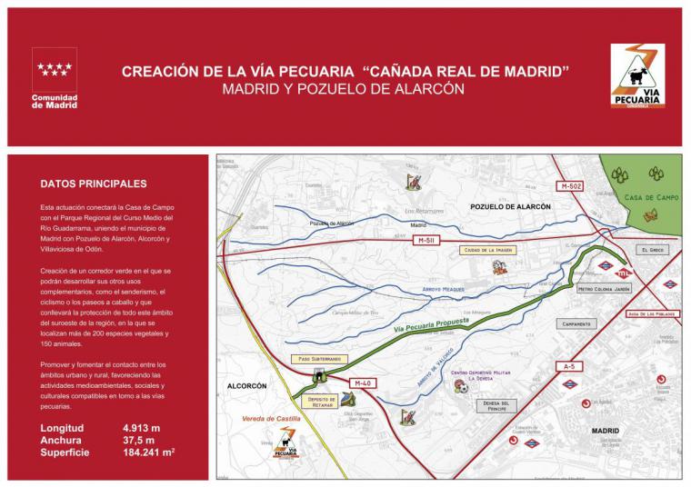 El Supremo anula la creación de la vía pecuaria 'Cañada Real de Madrid' por falta de evaluación medioambiental