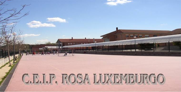 El Colegio Rosa Luxemburgo de Aravaca participa en el proyecto Global Scholars