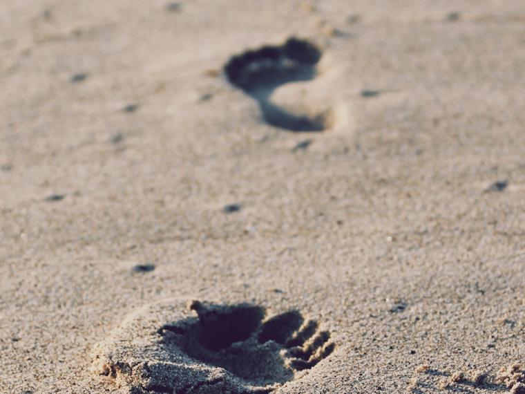 Este año más que nunca... ¡Cuidado en playas y piscinas!