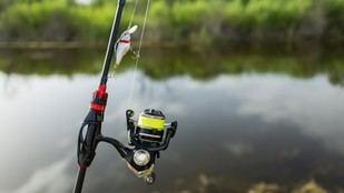 Aprobada nueva ley de caza y pesca en Madrid para mejorar la seguridad y el medio ambiente