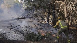 Díaz Ayuso presenta un plan para restaurar 17 municipios afectados por incendios en la Sierra Oeste