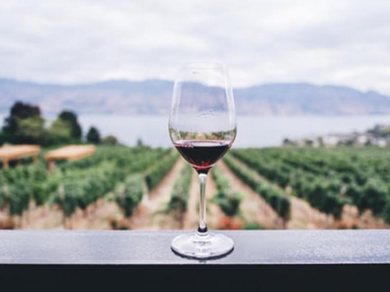 10 claves para entender el vino