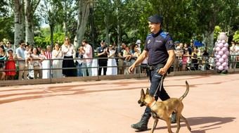 Gran éxito del Día del Niño en Pozuelo con actividades para toda la familia