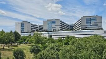 El Hospital 12 de Octubre, elegido por el segundo mejor MIR para Cirugía Plástica