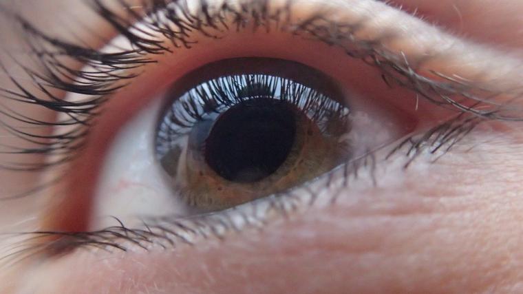 El 50% de los casos de glaucoma no son detectados hasta fases avanzadas de la enfermedad