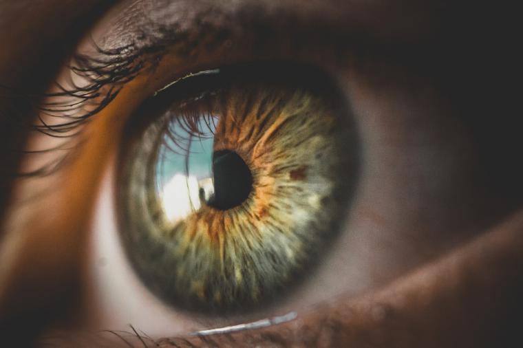 Presbicia, astigmatismo y cataratas, entre los problemas visuales que pueden ocasionar pérdida de interés por la lectura