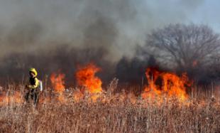 La Plataforma Ecologista Madrileña apoya a los vecinos de Pozuelo de Alarcón que han denunciado los incendios de los últimas semanas
