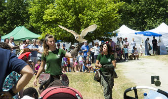 Día Mundial del Medio Ambiente en Pozuelo con talleres, exhibiciones y concursos