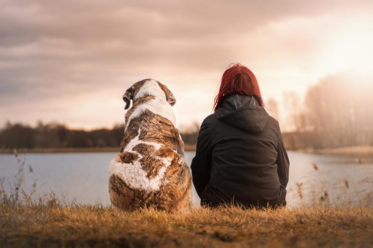 El 28,3% de los españoles lleva a su mascota al veterinario solo cuando es necesario