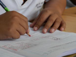 172 centros de Educación Primaria de la Comunidad participan en las pruebas TIMSS 2019