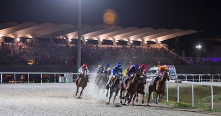 Disfruta de la última jornada de carreras nocturnas en el Hipódromo de la Zarzuela